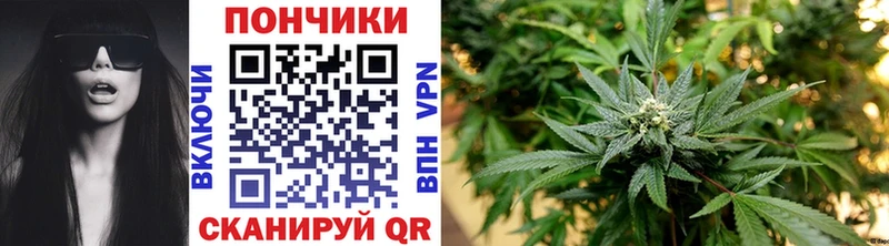 Купить закладку Cocaine  Метадон  A PVP  Каннабис  ГАШ  Меф  Бологое