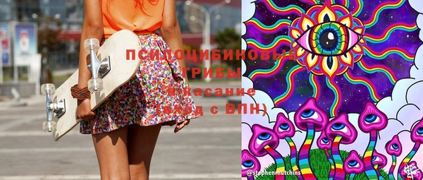 гидра Козловка