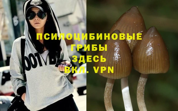 бошки Кодинск