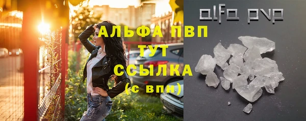СК Кинешма
